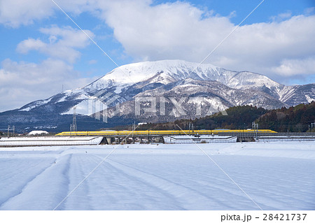 雪の伊吹山とドクターイエロー 28421737