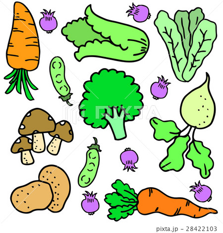 Doodle of vegetable set colorful 28422103