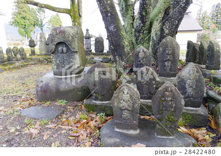 信州　北安曇白馬の文化財　空峠庚申塚石仏群　江戸時代造立の庚申信仰の石仏群 28422480