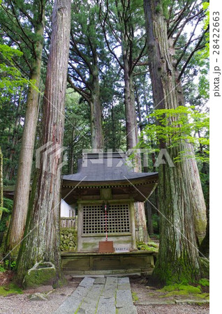 信州 駒ヶ根の寺院 光前寺 弁天堂 縦(800年頃創建の古刹 霊犬早太郎伝説で有名) 信州 駒ヶ根の寺院 光前寺 弁天堂 縦(800年頃創建の古刹 霊犬早太郎伝説で有名) 28422663