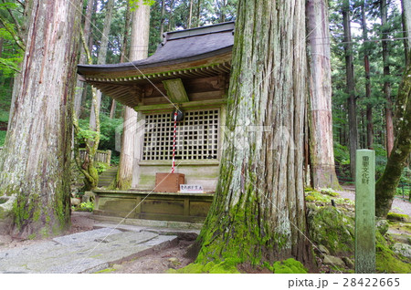 信州　駒ヶ根の寺院　光前寺　弁天堂　俯瞰横（８００年頃創建の古刹　霊犬早太郎伝説で有名） 28422665