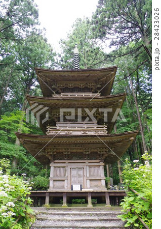 信州　駒ヶ根の寺院　光前寺　三重塔　仰観縦（８００年頃創建の古刹　霊犬早太郎伝説で有名） 28423026