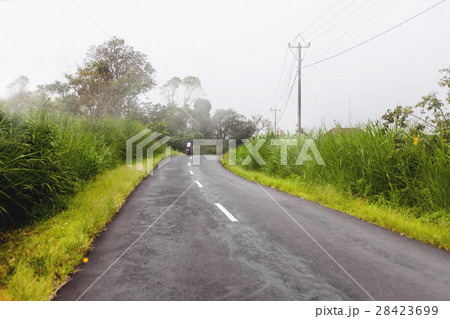 Heavy fog on the road, bad weather for driving 28423699
