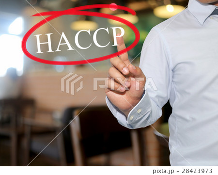 Hand of man touching text HACCP with white. 28423973