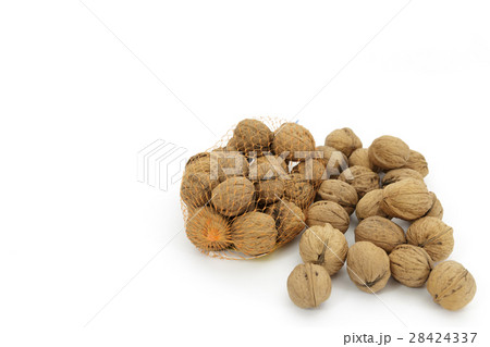 食材　くるみ　産地：岩手県九戸群 28424337