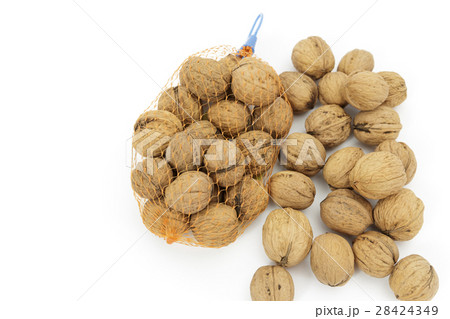 食材 くるみ 産地:岩手県九戸群 食材 くるみ 産地:岩手県九戸群 28424349