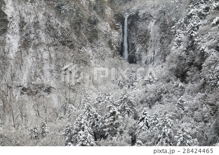冬 九重”夢”大吊橋からの震動の滝(雄滝)雪景色 冬 九重”夢”大吊橋からの震動の滝(雄滝)雪景色 28424465