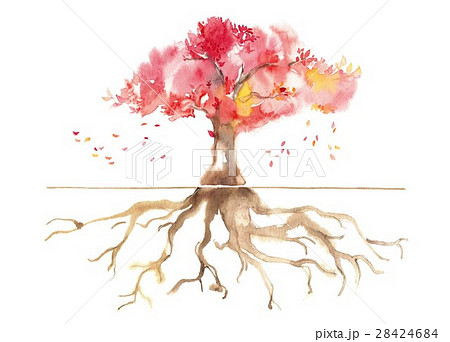 秋の公園、根、落葉 28424684