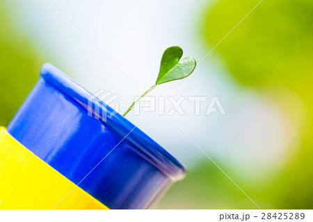 green leaf in heart shape 28425289