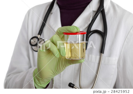 Doctor hold urine sample Doctor hold urine sample 28425952