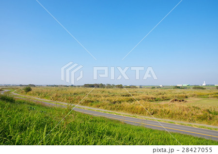 河川敷 28427055