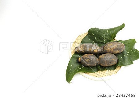 野菜 れんこん 産地:佐賀県産 野菜 れんこん 産地:佐賀県産 28427468