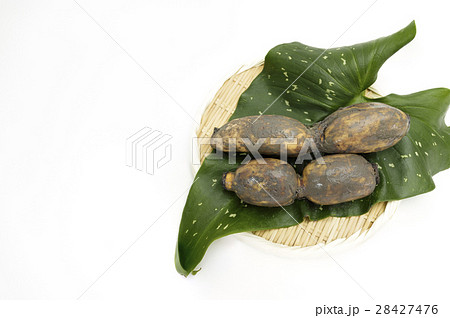 野菜 れんこん 産地:佐賀県産 野菜 れんこん 産地:佐賀県産 28427476