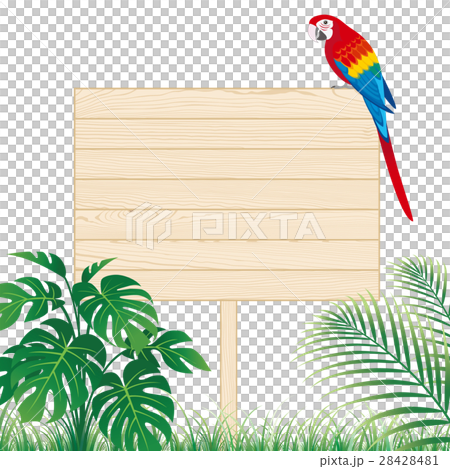 Standing signs Macaws Standing signs Macaws 28428481