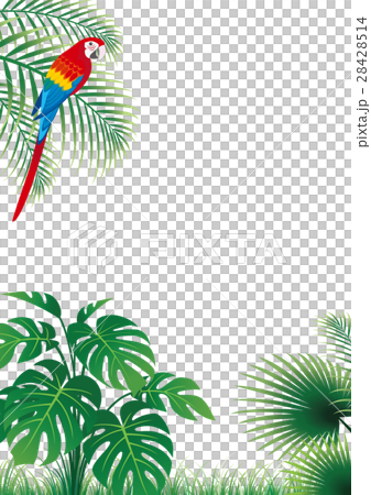 Forest Monstera Macaw 28428514
