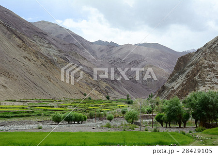 Mountain scenery in Ladakh, India Mountain scenery in Ladakh, India 28429105