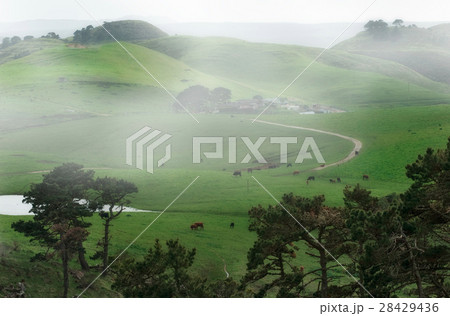 Rural scenen in California Rural scenen in California 28429436
