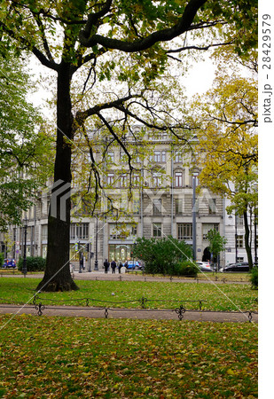 Autumn scenery in Saint Petersburg, Russia 28429579