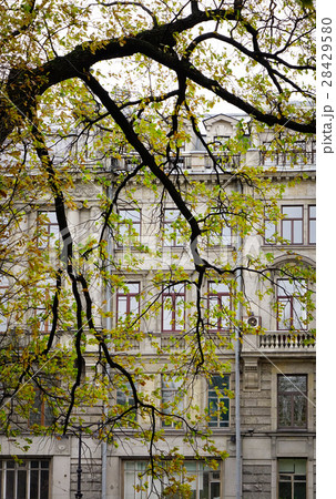 Autumn scenery in Saint Petersburg, Russia 28429580