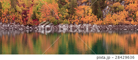 Fall and Autumn Detail Fall and Autumn Detail 28429636