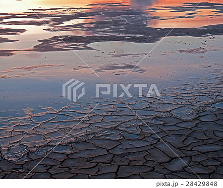 Dried and cracked Mud Dried and cracked Mud 28429848