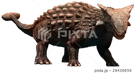 Ankylosaurus 28430656