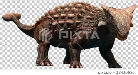 Ankylosaurus 28430656
