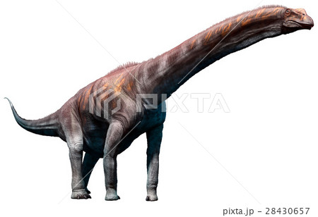 Argentinosaurus, 28430657