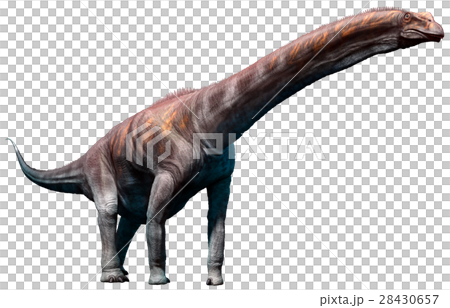 Argentinosaurus, 28430657