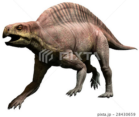Lotosaurus 28430659