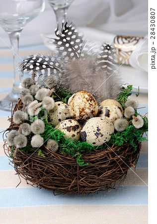 Quail easter eggs in a nest on wooden table 28430807