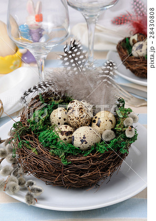 Quail easter eggs in a nest on wooden table 28430808
