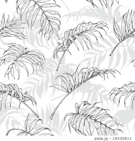 Hand Drawn Palm Leaves Pattern 28430811