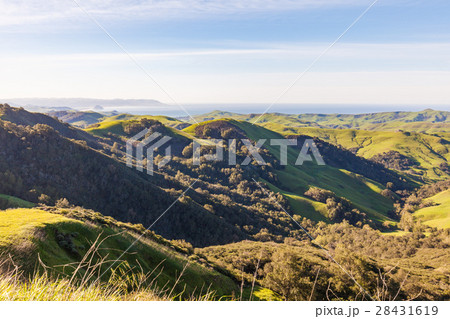 California Coastal Mountain Landscape in Spring 28431619