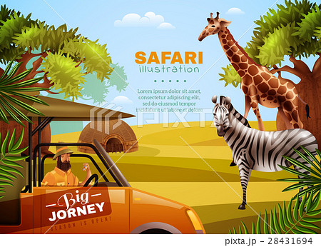 Safari Colored Posterのイラスト素材