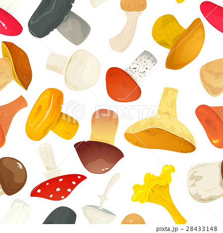 Vector seamless pattern with mushrooms 28433148