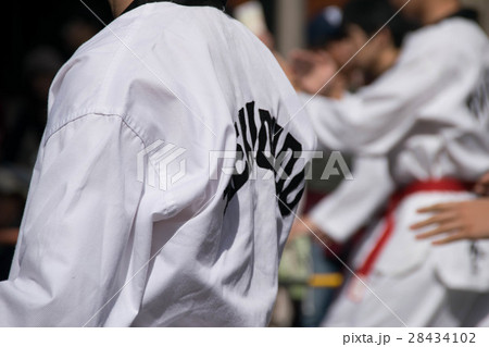 勇ましい勇姿 勇ましい勇姿 28434102