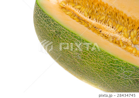 Cantaloupe Melon isolated 28434745