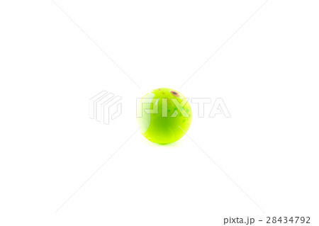 Pet toy isolated on white background Pet toy isolated on white background 28434792