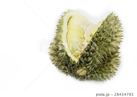 Durian king of fruit 28434793