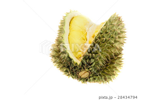 Durian king of fruit Durian king of fruit 28434794