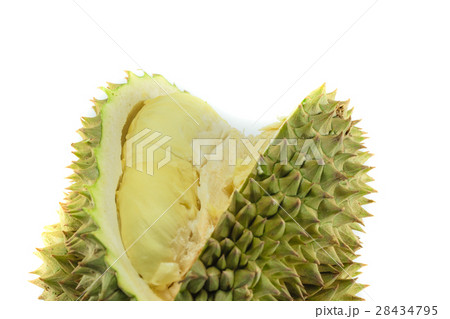 Durian king of fruit Durian king of fruit 28434795