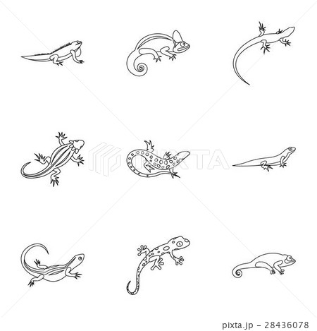 Iguana icons set, outline style 28436078