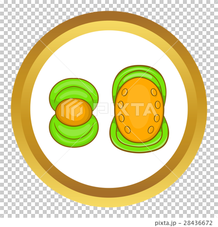 Knee protector and elbow pad vector icon Knee protector and elbow pad vector icon 28436672