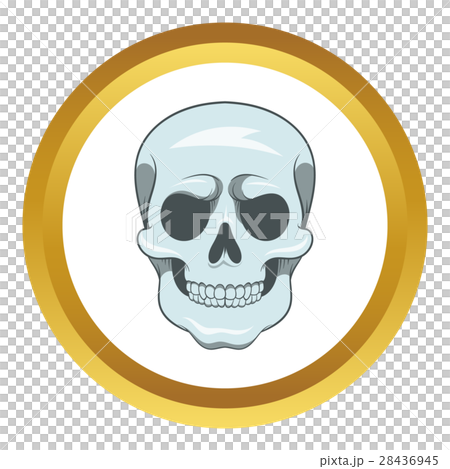 Skull vector icon 28436945