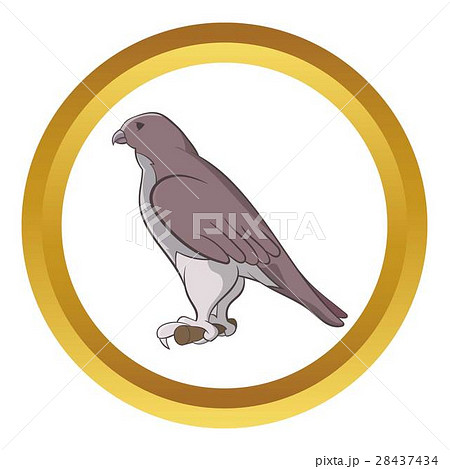 Falcon vector icon 28437434