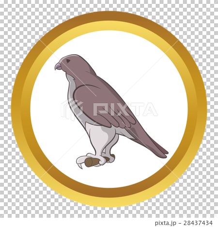 Falcon vector icon 28437434