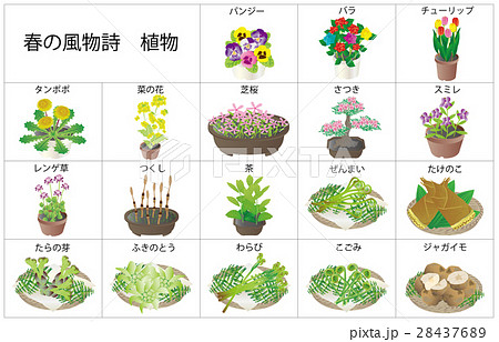 春の風物詩植物のイラスト素材