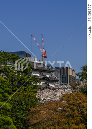 春の江戸城の富士見櫓 春の江戸城の富士見櫓 28439367