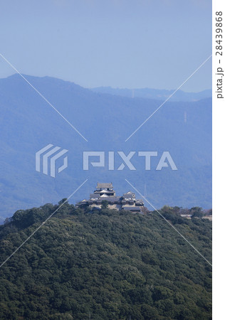 松山市街地と松山城遠望(松山総合公園より) 松山市街地と松山城遠望(松山総合公園より) 28439868